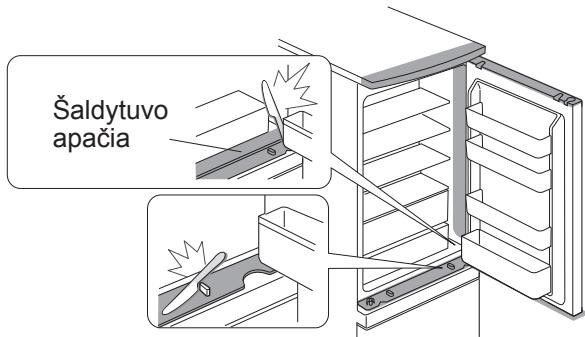 Šaldytuvo apačia