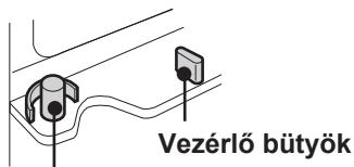 Vezérlő bütyök