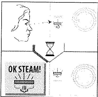 DELONGHI VVX1650G,  VVX1660 DUAL VAP,  VVX1660 DUALVAP - 3