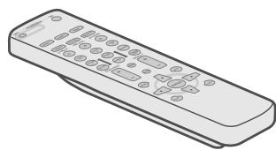 JVC DLA-HD100 - Compruebe los accesorios - 1