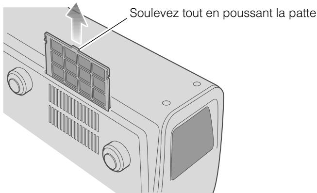 JVC DLA-HD100 - Retirez le filtrre interne - 1