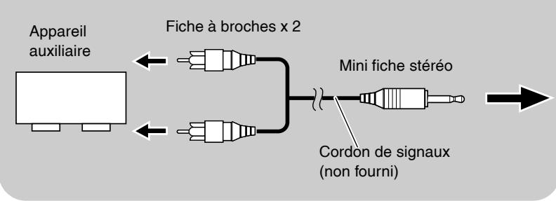 JVC RV-NB1E - Connexions - 1