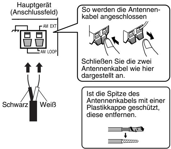 JVC EX-A5 - Anschluss der AM-Dreharmantenne (im Lieferumfang) - 2