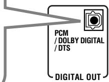 JVC RX-DP20VBK - Digital output terminal - 2