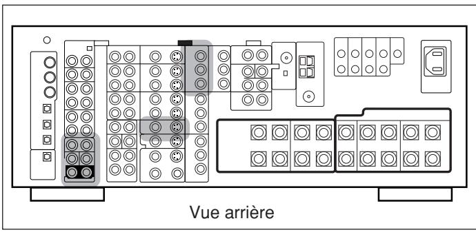 Vue arrière