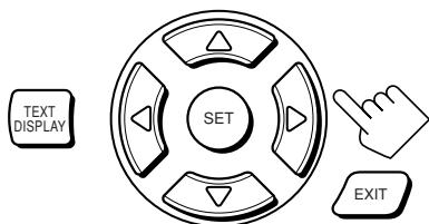 TEXT DISPLAY SET EXIT