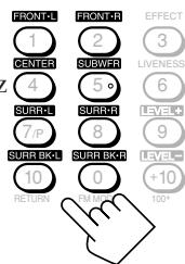 FRONT-L 1 CENTER 2 SUBWFR 3 EFFECT 4 5 LIVENESS 6 SURRL 7/P SURR-R 8 LEVEL* 9 SURR BK-L 10 SURR BK-R 0 LEVEL- +10 RETURN FLU FLOWER 100+