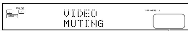 ANALOG L R SUBWFR VIDEO MUTING SPEAKERS 1