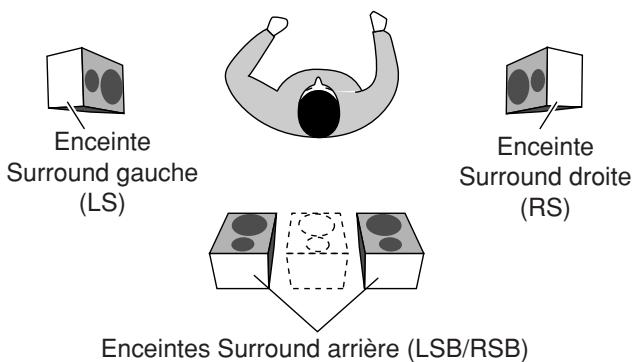 Enceinte Surround gauche (LS) Enceinte Surround droite (RS) Enceintes Surround arrière (LSB/RSB)