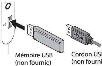 Mémoire USB (non fournie) Cordon USB (non fournie)