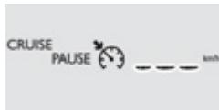 CRUISE PALUSE km/h