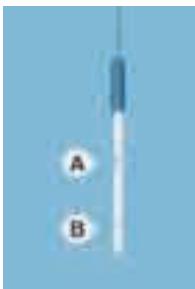 A B