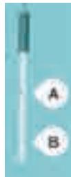 A B