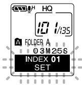 OLYMPUS DM-10 - Setting an Index Mark - 1
