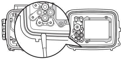 OLYMPUS PT-045 - Retirer tout grain de sable, poussière, etc. - 2