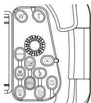 OLYMPUS PT-045 - Mémorisation AF pendant la prise de vue sous-marine - 1