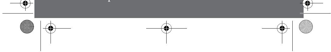 ELM LEBLANC MEGALIS CONDENS - 2