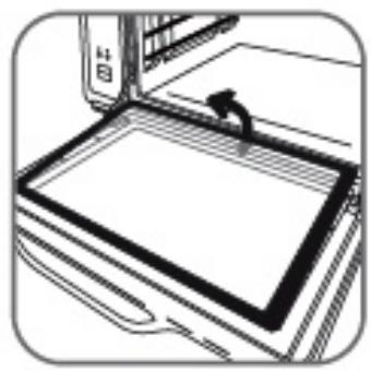 ROWENTA OC 7858 GOURMET PRO - • Démontage porte - 2