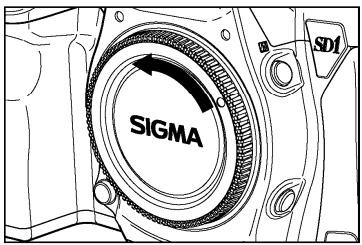 SIGMA SD1 MERRILL - MISE EN GARDE !! - 2