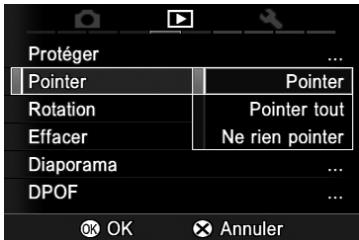SIGMA SD1 MERRILL - POINTAGE DES IMAGES - 1
