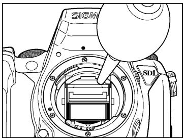 SIGMA SD1 MERRILL - 6 - 1