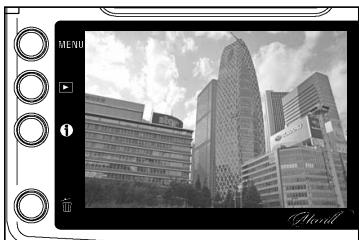 SIGMA SD1 MERRILL - Placez le curseur AF/MF de l'objectif sur la position AF (P.55) - 5