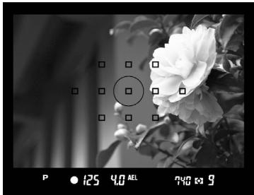 SIGMA SD1 MERRILL - 2 - 1