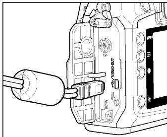 SIGMA SD1 MERRILL - CONNEXION DES CABLES - 1