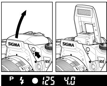 SIGMA SD1 MERRILL - UTILISATION DU FLASH INTEGRE - 2