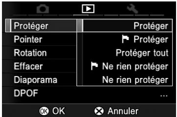SIGMA SD1 MERRILL - PROTECTION DES IMAGES - 1