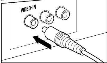 SIGMA SD1 MERRILL - VISUALISATION SUR UN ECRAN TV - 2