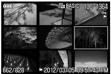 SIGMA SD1 MERRILL - AVERTISSEMENT !! - 2
