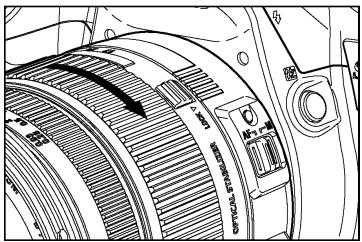 SIGMA SD1 MERRILL - MISE EN GARDE !! - 4