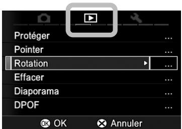 SIGMA SD1 MERRILL - Prise de vue - 1
