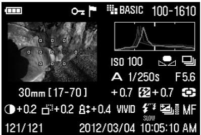 SIGMA SD1 MERRILL - REMARQUE - 2