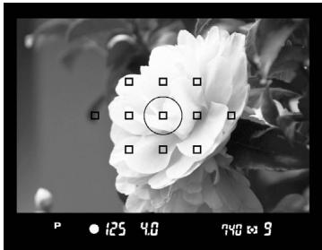 SIGMA SD1 MERRILL - MEMORISATION D'EXPOSITION (AE LOCK) - 1