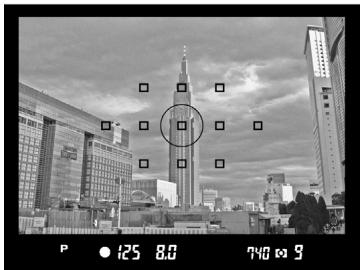 SIGMA SD1 MERRILL - 1 - 1