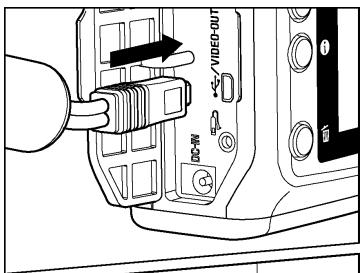 SIGMA SD1 MERRILL - VISUALISATION SUR UN ECRAN TV - 1
