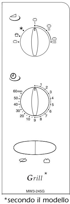 VEDETTE DX240W - UTILIZAZIONE - 2
