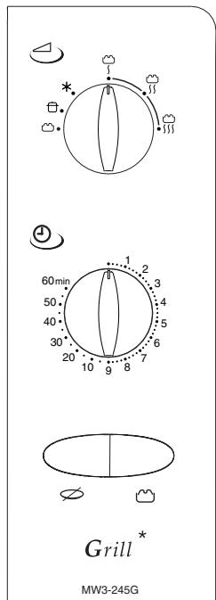 VEDETTE DX240W - GENERAL DESCRIPTION - 3