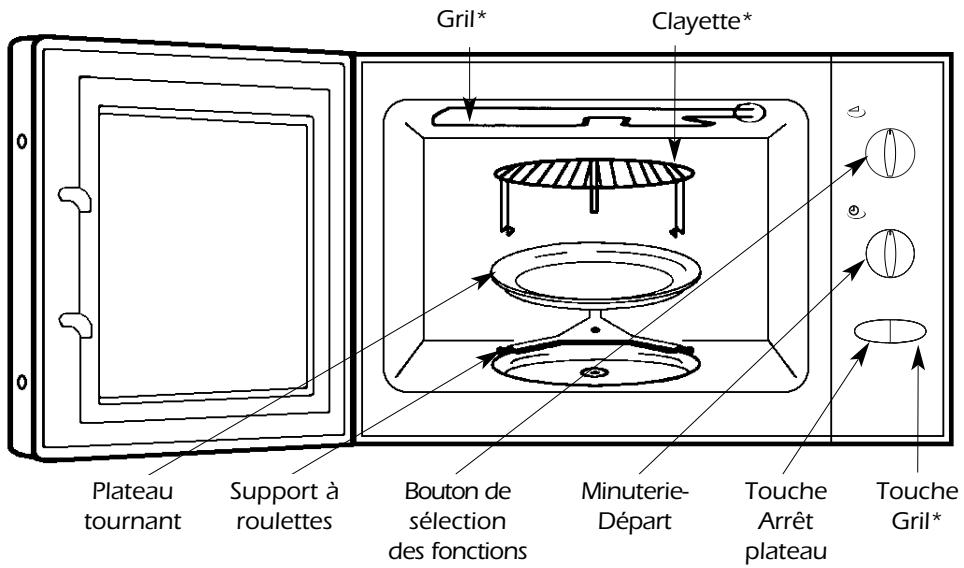 VEDETTE DX240W - Présentation - 1