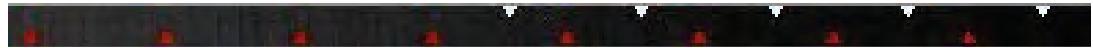 HERCULES DJCONTROL WAVE M3 - Automatiquement, à l'aide de la fonction Sync - 4