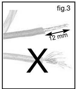 VEDETTE VGE630B - BRANCHEMENT - 3