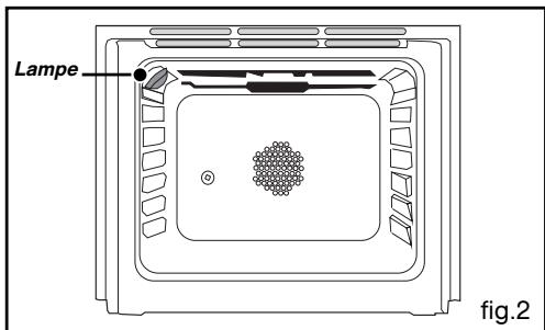 VEDETTE VGE630B - A l'intérieur du fou (fig.2): - 1