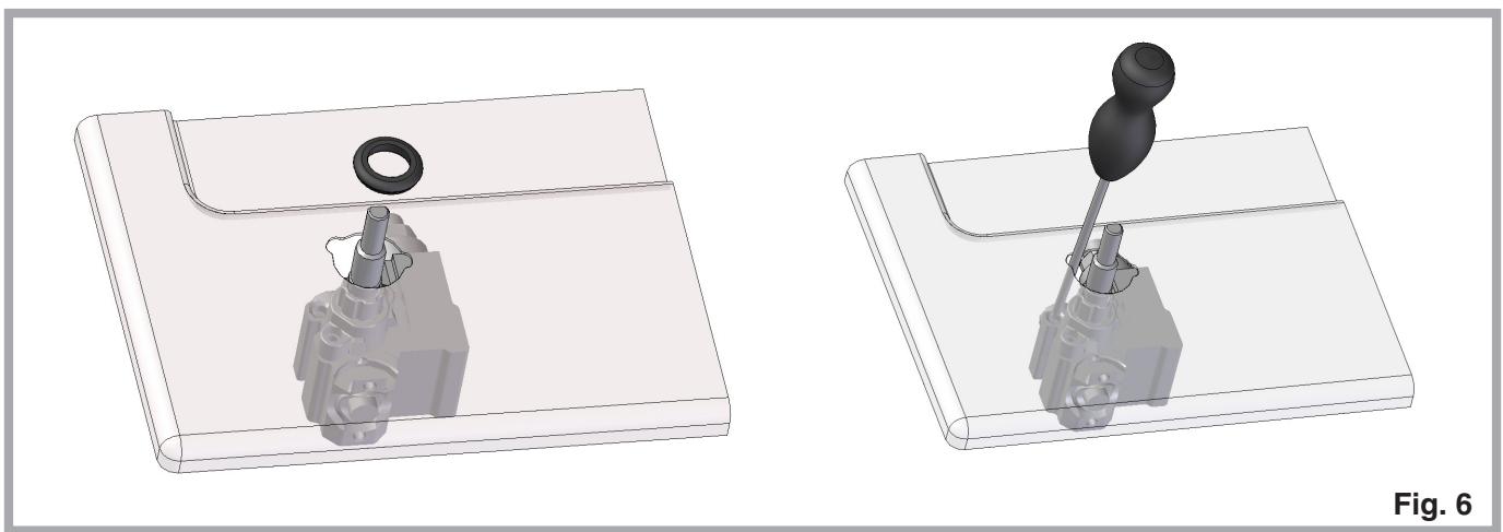 INDESIT DP2GS - Adattamento a diverso tipo di gas (Fig. 5) - 3