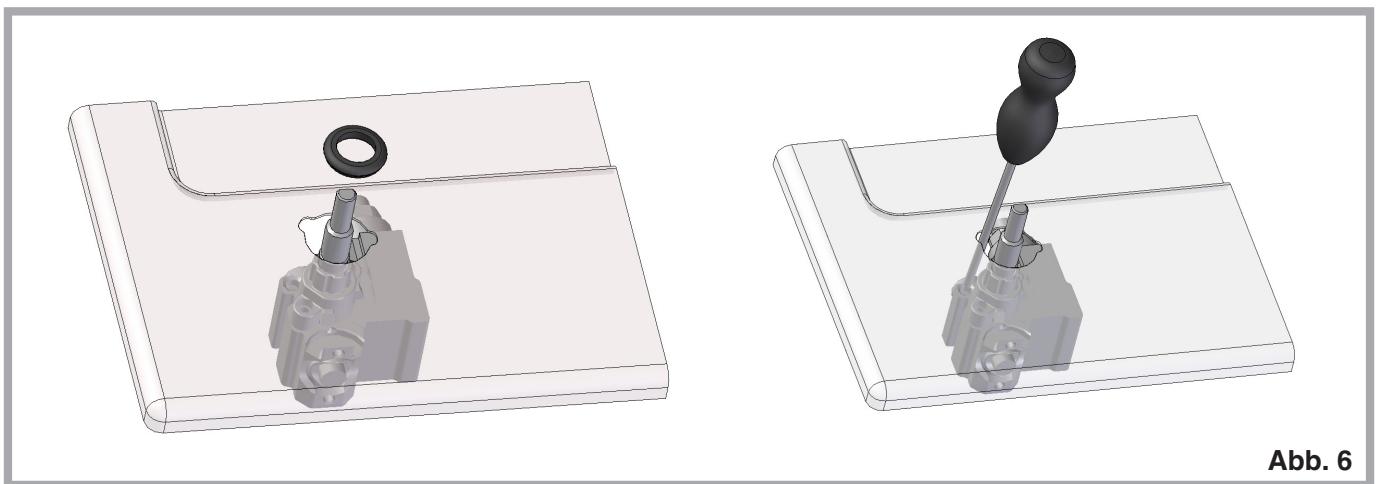 INDESIT DP2GS - Anpassung an einen anderen Gastyp (Abb. 5) - 3