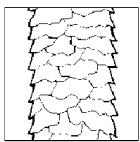 CALOR 9380 - CHOICE OF THERMO OPTIMUM HEAT SETTING - 2