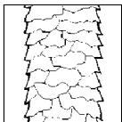 CALOR 9380 - CHOIX DE LA TEMPERATURE THERMO OPTIMUM - 2
