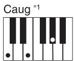 CASIO CTK-900 - REMARQUE - 4