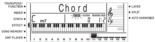 CASIO CTK-900 - IMPORTANT! - 1